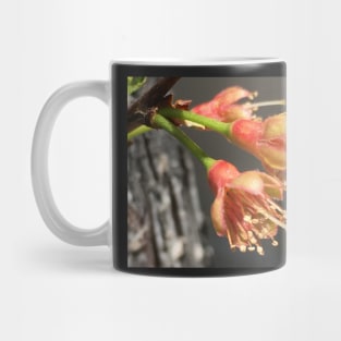 Tree Blossoms Mug